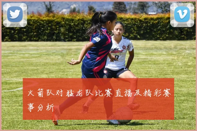 火箭队对猛龙队比赛直播及精彩赛事分析